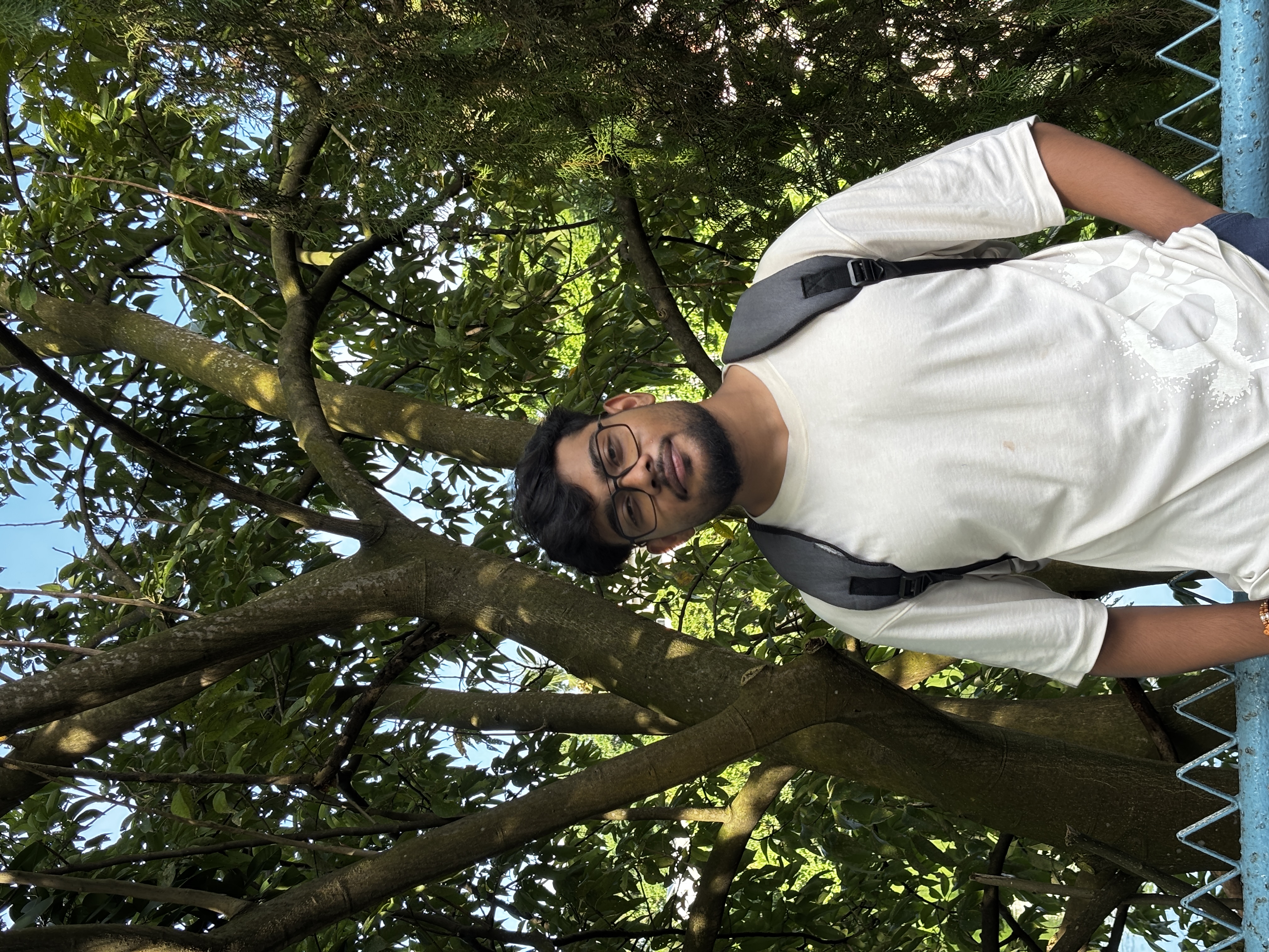 Saujatya